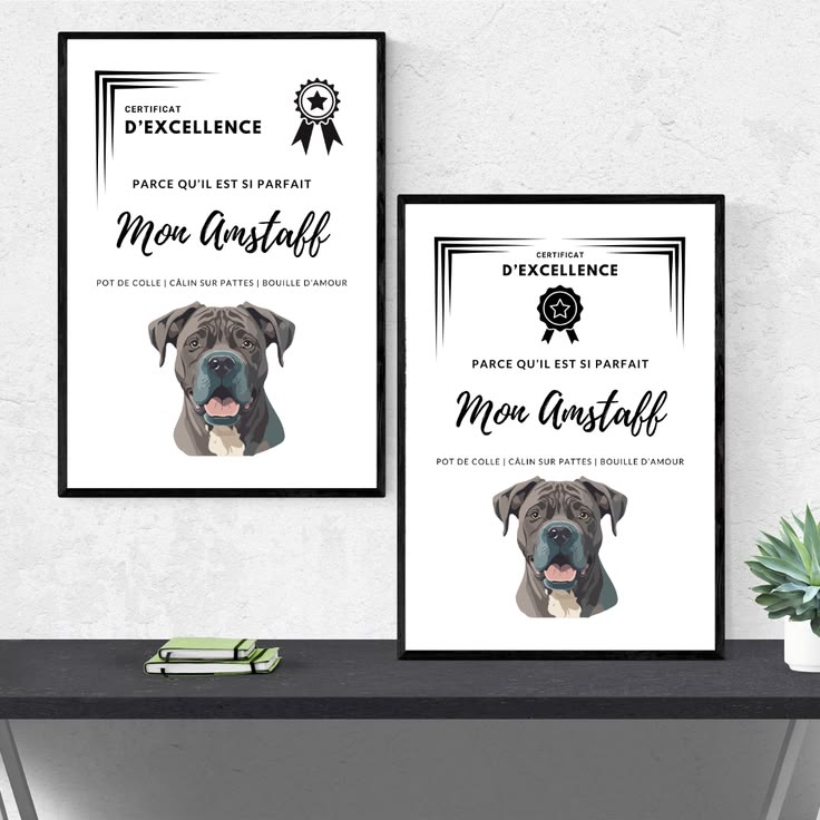 Certificat d'excellence Amstaff à imprimer - Molosses Addict