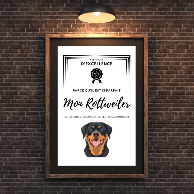 Certificat d'excellence Rottweiler à imprimer - Molosses Addict