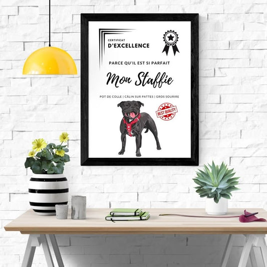 Certificat d'excellence Staffie à imprimer - Molosses Addict