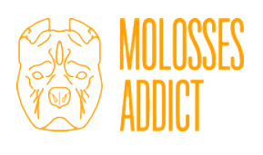 Molosses Addict